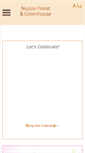 Mobile Screenshot of nussleflst.com