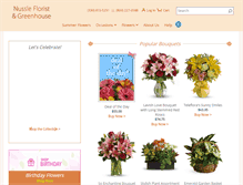 Tablet Screenshot of nussleflst.com